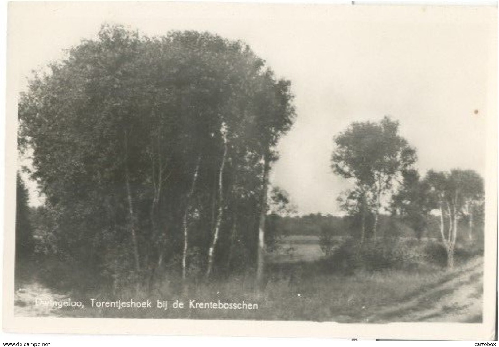 Dwingeloo, Torentjeshoek Bij De Krentebosschen - Dwingeloo