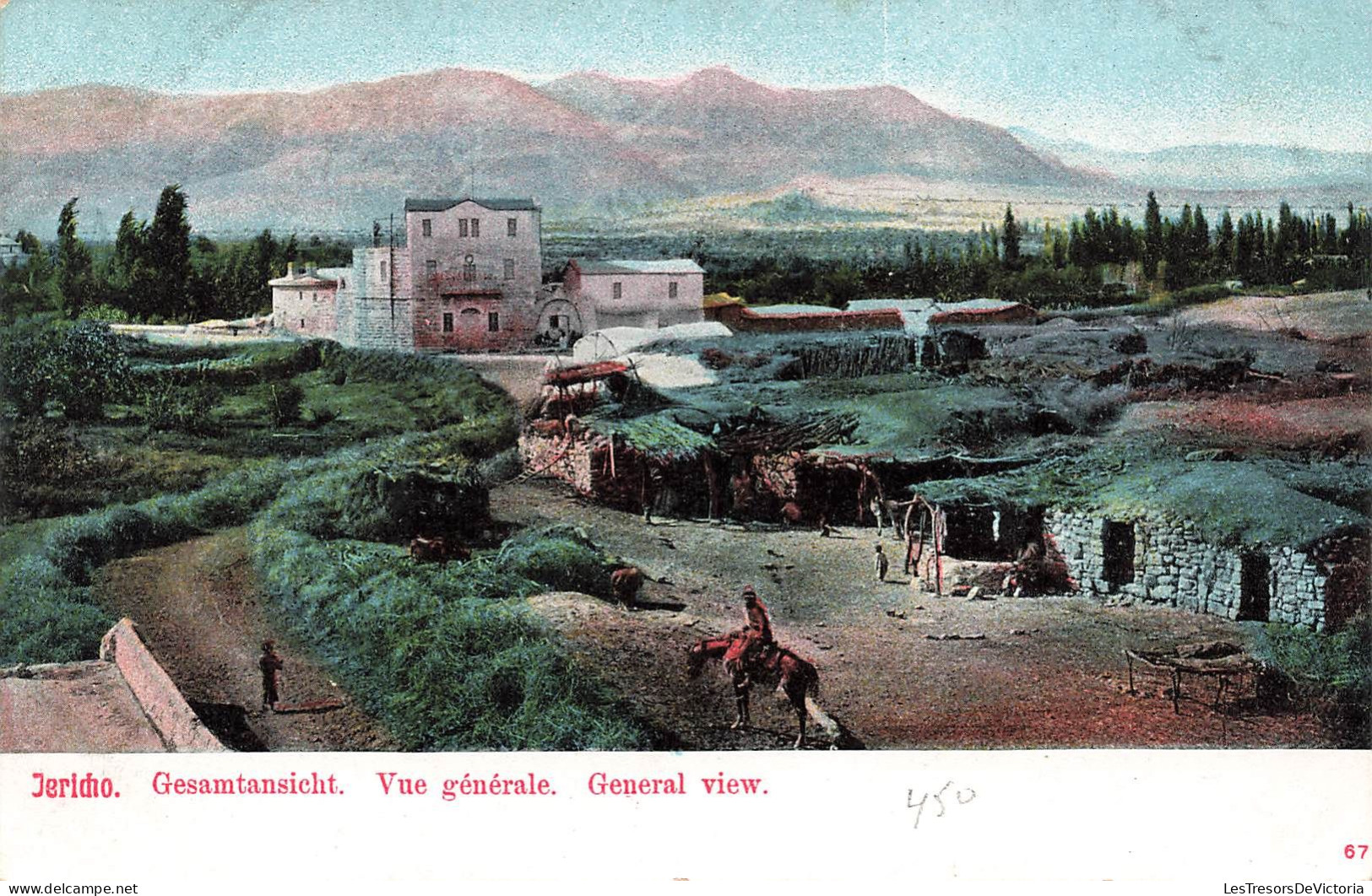 Jordanie - Jericho - Vue Générale - Colorisé   -  Carte Postale Ancienne - Giordania