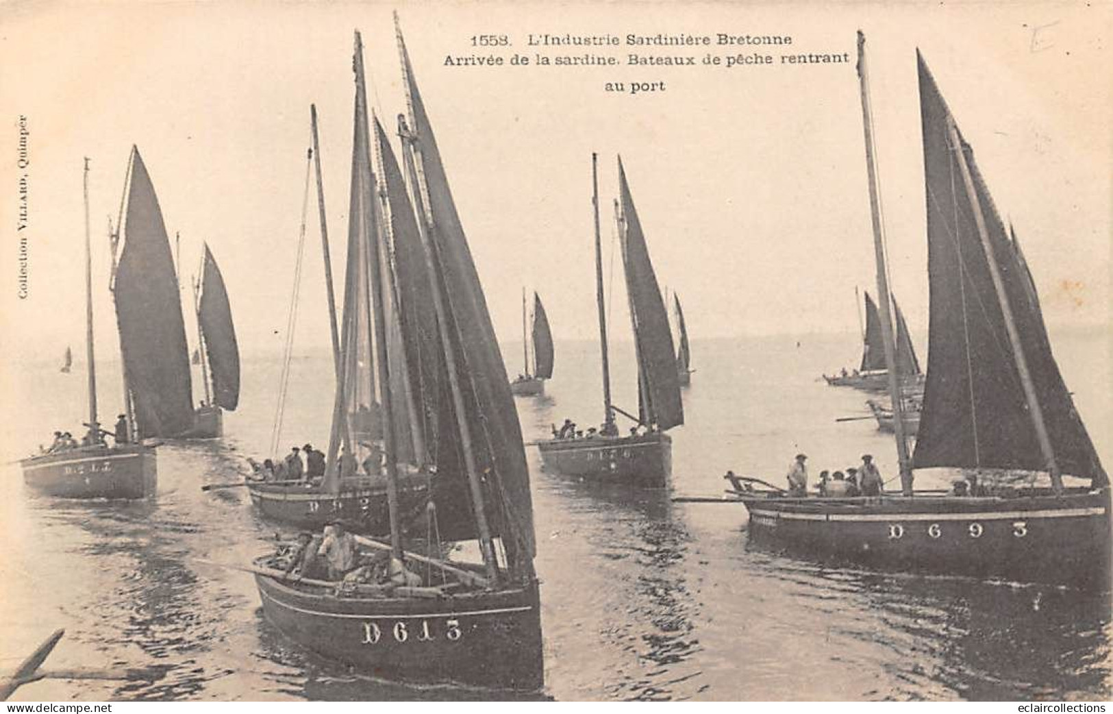 Douarnenez     29      Arrivée Au Port Des Bateaux De Pêche A La Sardine   N° 1558  (voir Scan) - Douarnenez