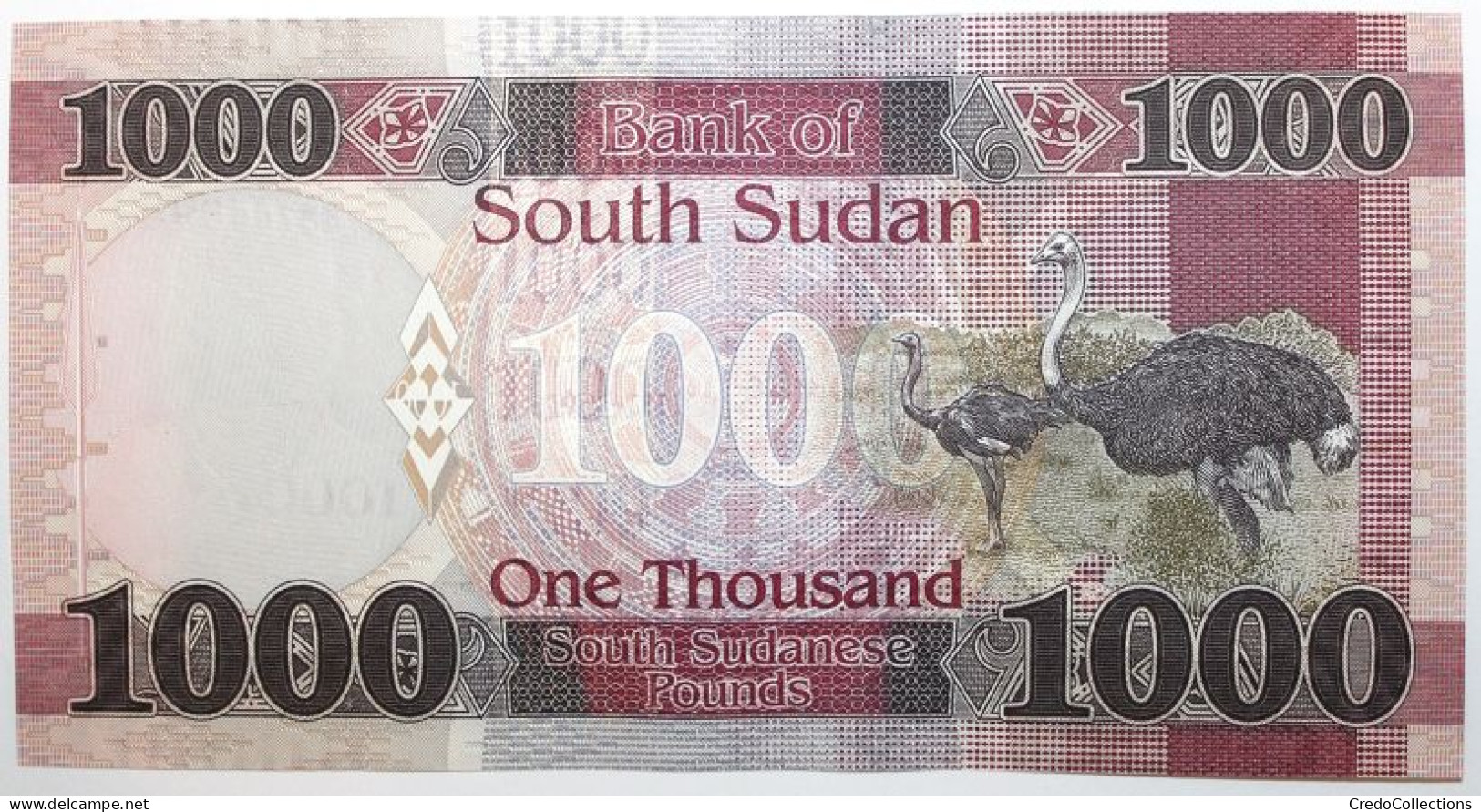 Soudan Du Sud - 1000 Pounds - 2021 - PICK 17b - NEUF - Südsudan