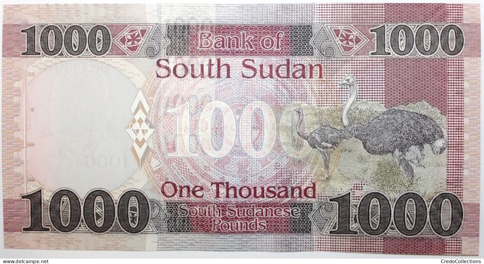 Soudan Du Sud - 1000 Pounds - 2021 - PICK 17b - NEUF - Sudán Del Sur