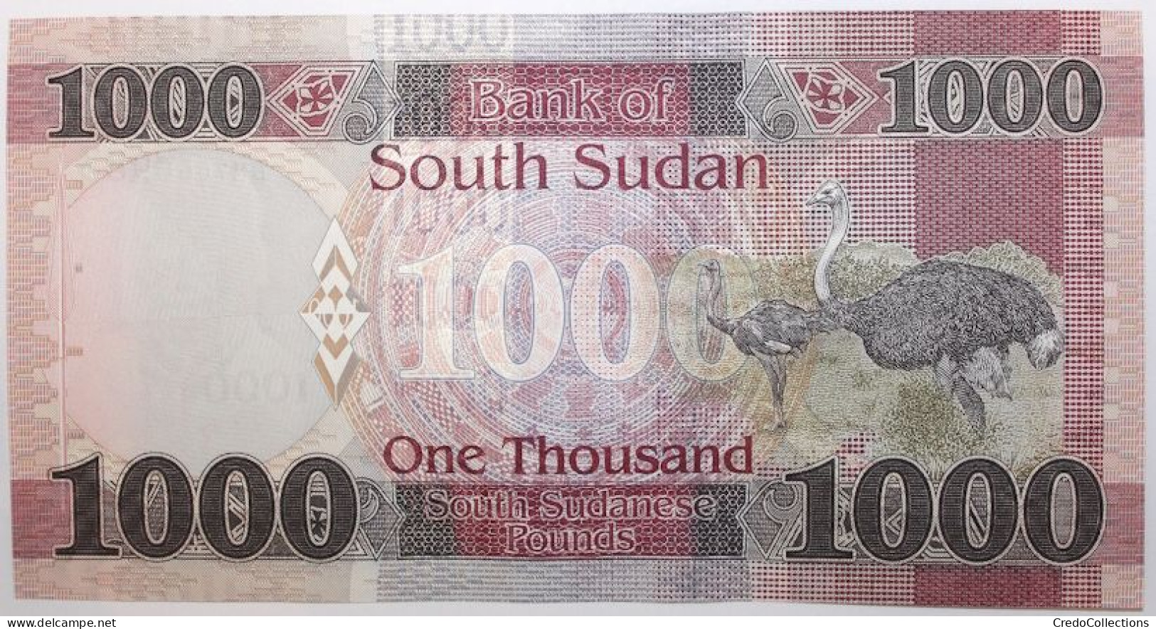 Soudan Du Sud - 1000 Pounds - 2021 - PICK 17b - NEUF - Sudán Del Sur