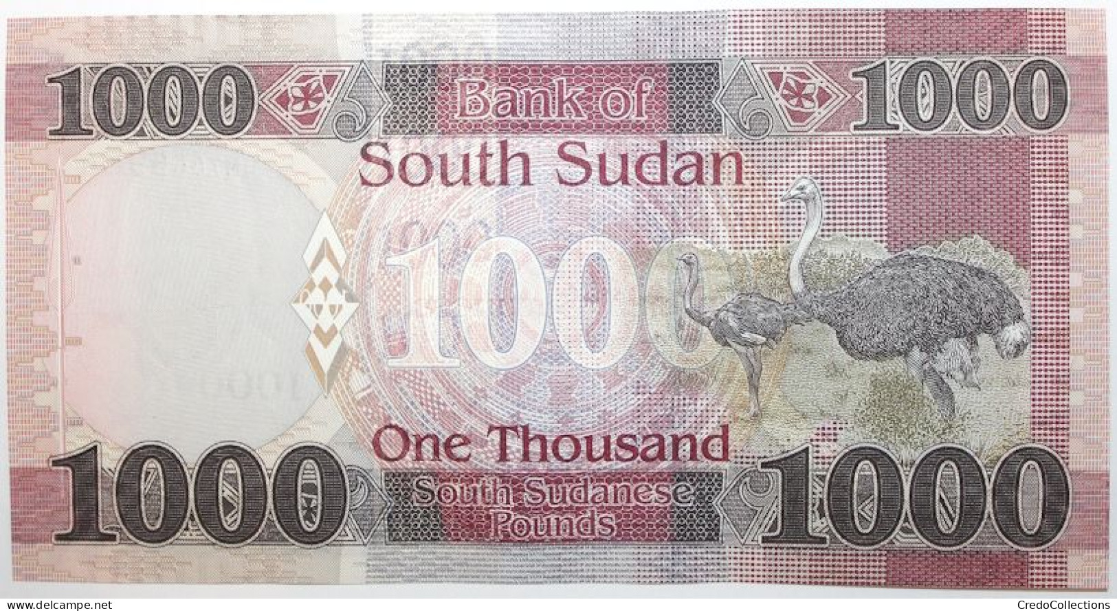 Soudan Du Sud - 1000 Pounds - 2021 - PICK 17b - NEUF - Südsudan