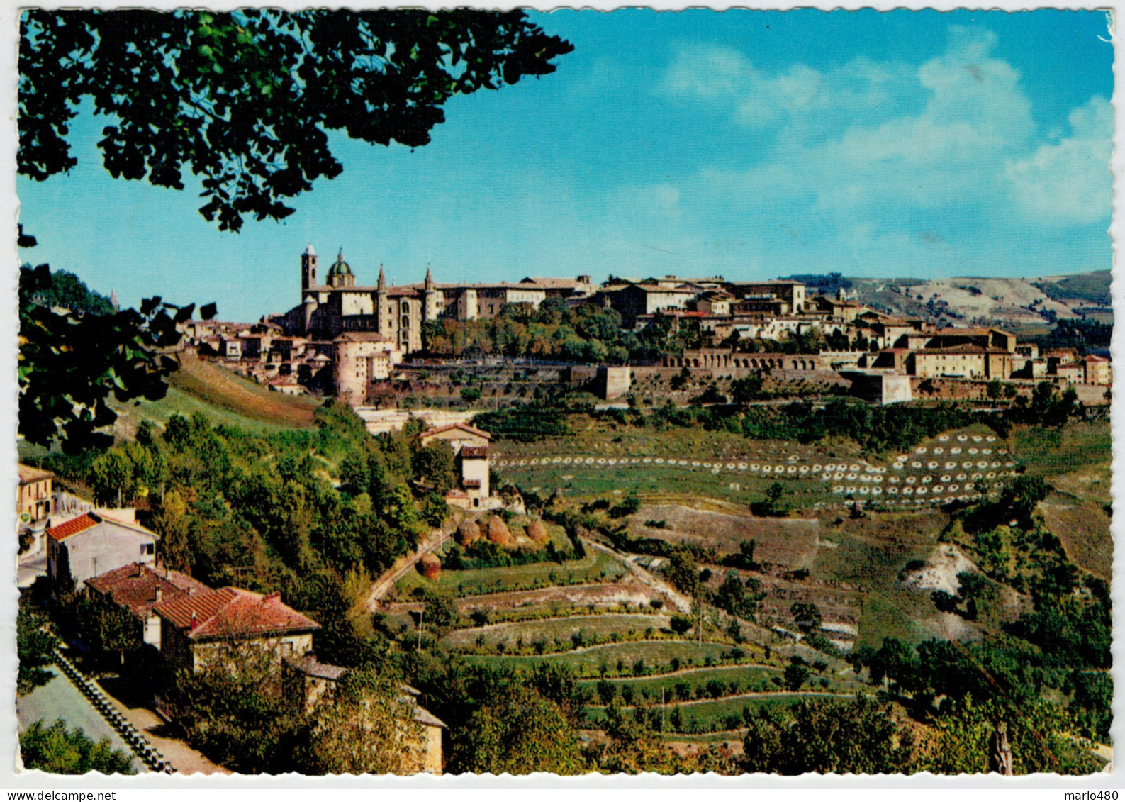 URBINO    PANORAMA                  (NUOVA) - Urbino