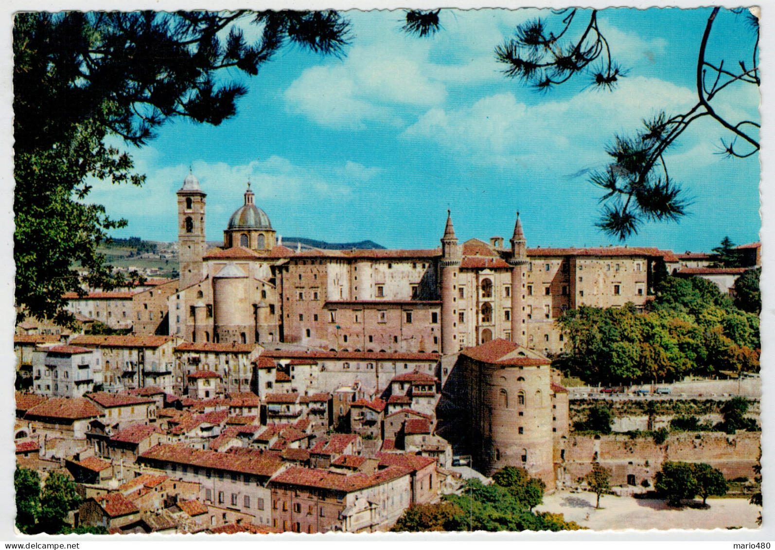 URBINO    PANORAMA                  (NUOVA) - Urbino