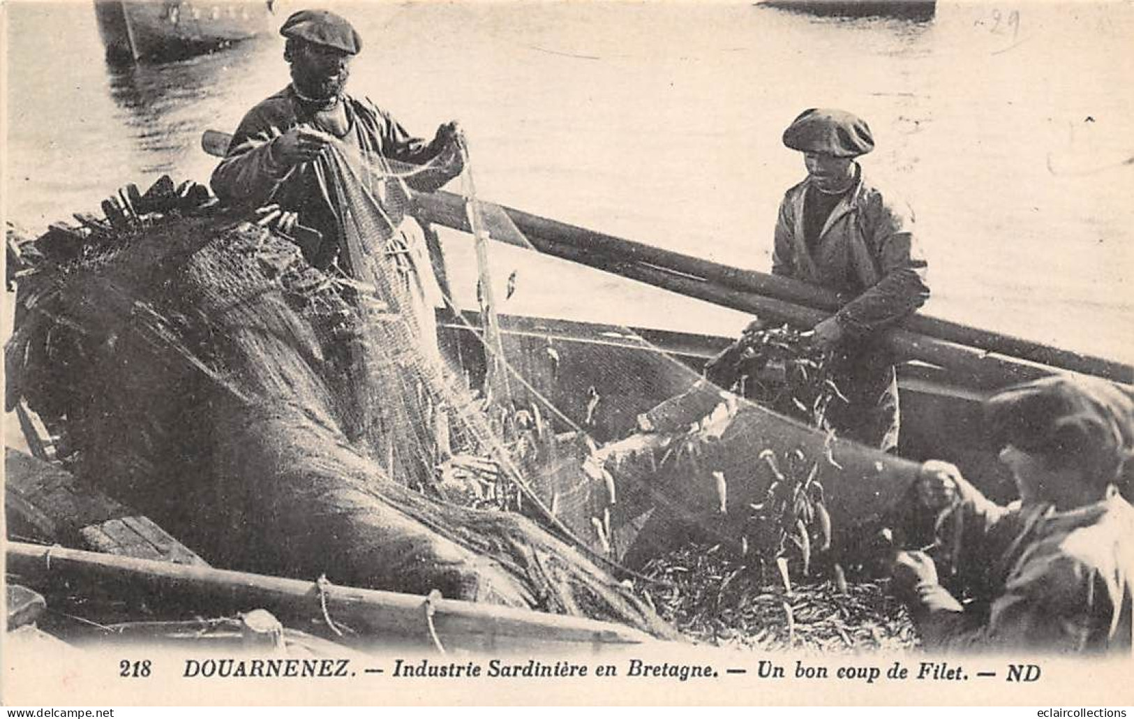 Douarnenez        29        Pêche A La Sardine. Un Bon Coup Des Filet     N° 218   (voir Scan) - Douarnenez