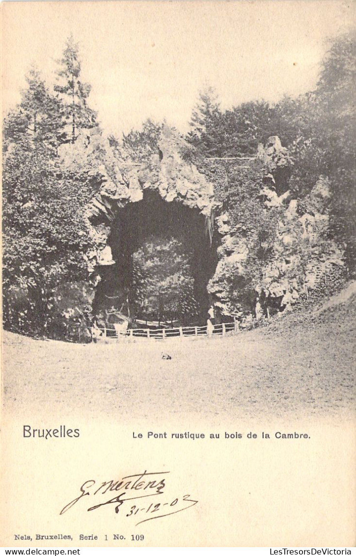 BELGIQUE - BRUXELLES - Pont Rustique Au Bois De La Cambre - Carte Postale Ancienne - Plazas