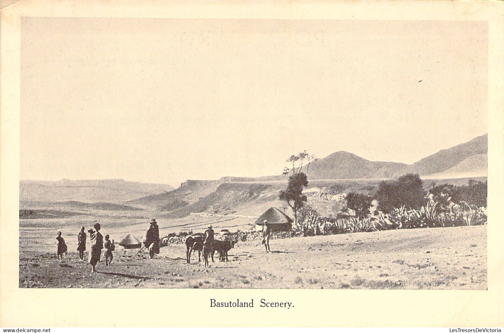 LESOTHO - Basutoland Scenery - Carte Postale Ancienne - Lesotho