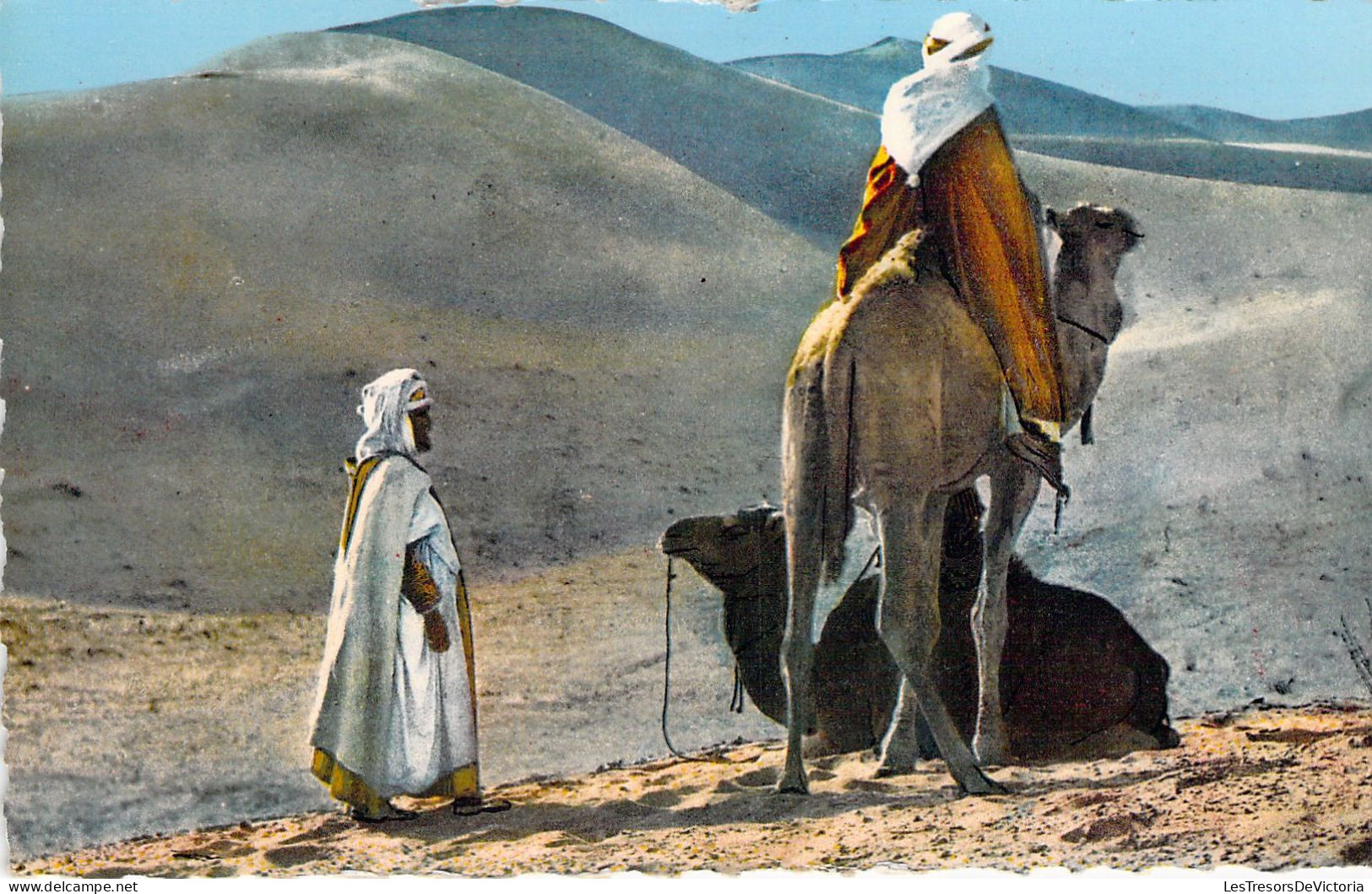 ALGERIE - Scènes Et Types D'afrique Du Nord - Repos Dans Le Désert -  - Carte Postale Ancienne - Scènes & Types