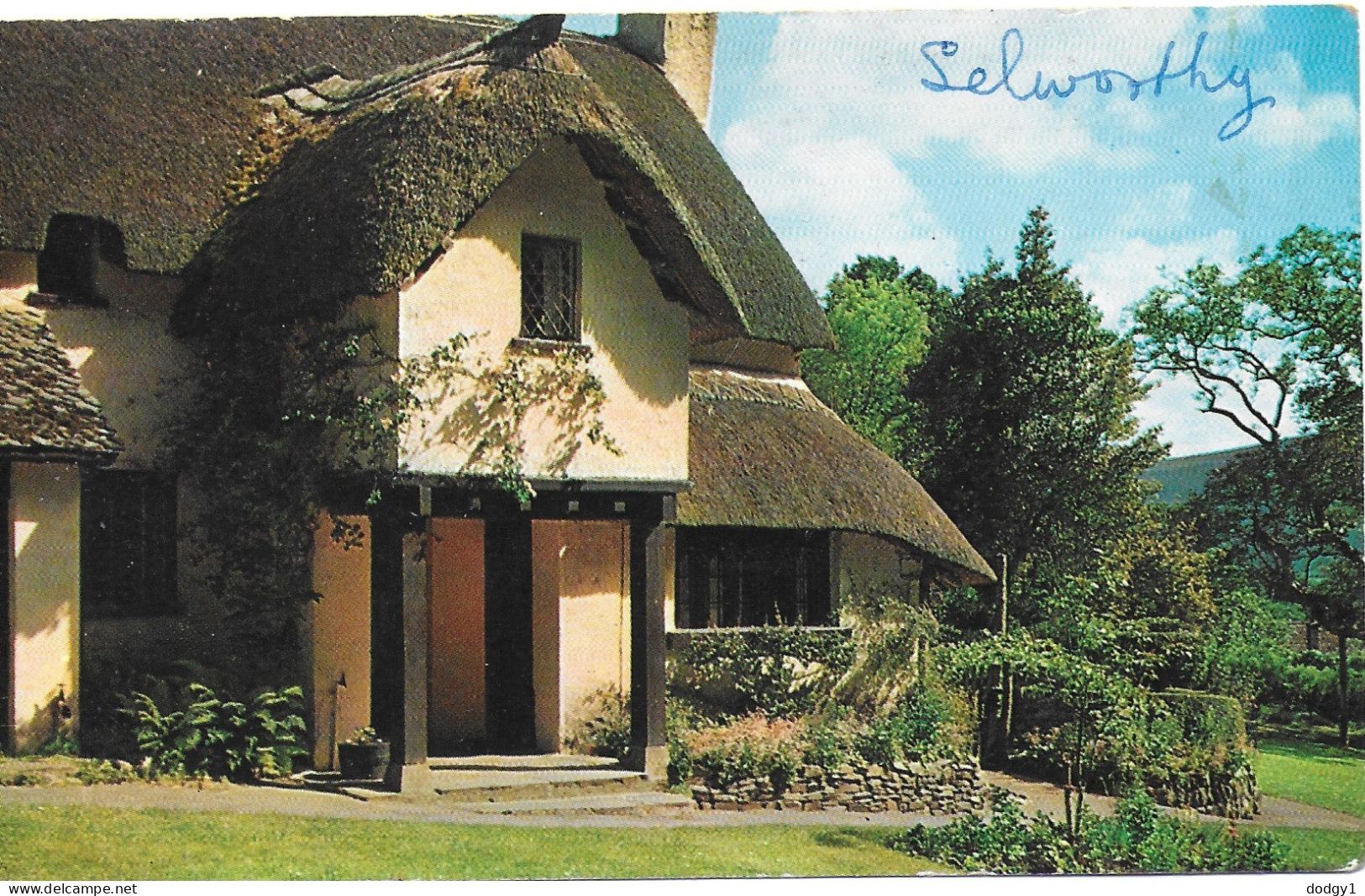 SELWORTHY, Nr MINEHEAD, SOMERSET, ENGLAND. UNUSED POSTCARD   Gv9 - Minehead