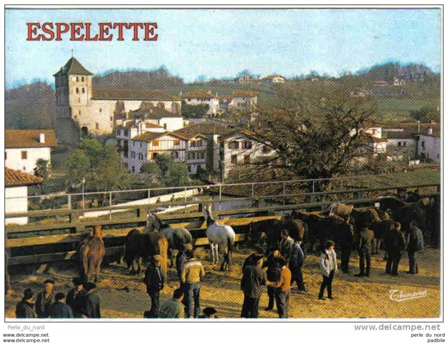 Carte Postale 64. Espelette La Foire Aux Chevaux Pottocks Trés Beau Plan - Espelette