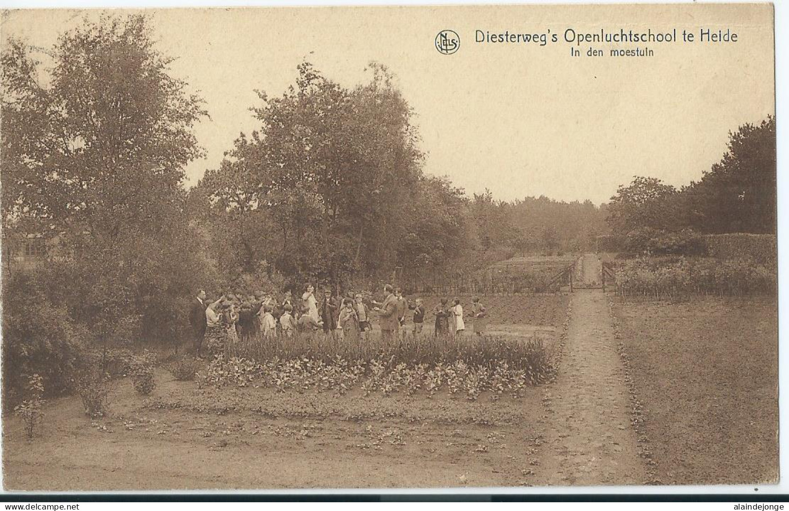 Heide - (Kalmthout) - Diesterweg's Openluchtschool Te Heide - In Den Moestuin  - Kalmthout