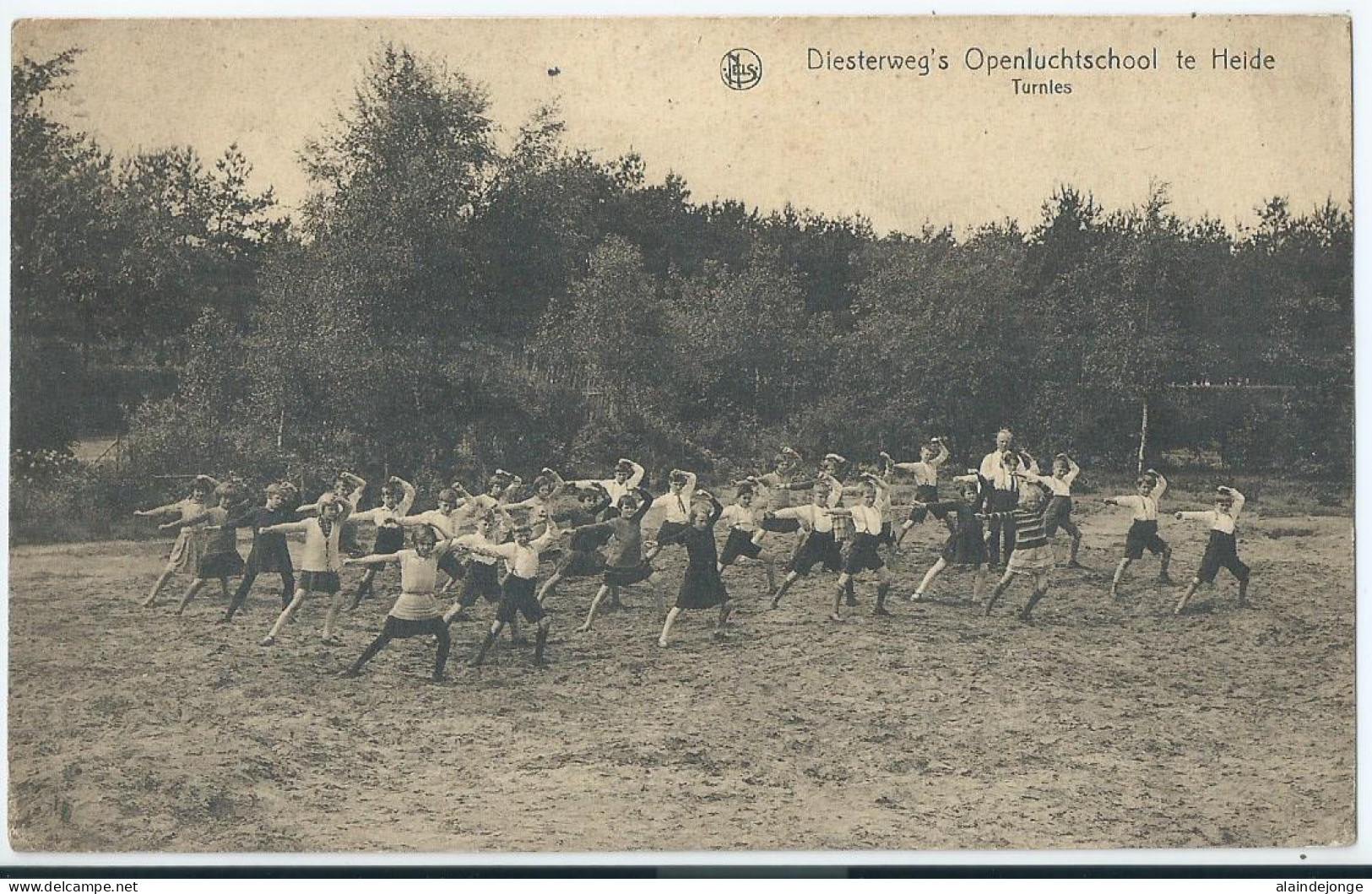 Heide - (Kalmthout) - Diesterweg's Openluchtschool Te Heide - Turnles  - Kalmthout