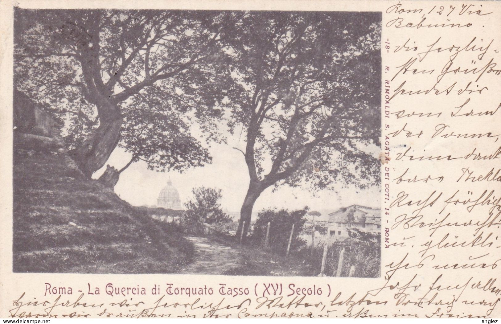 Italy - Roma La Quercia Di Torquato Tasso - Posted 1904 To Germany - Parcs & Jardins