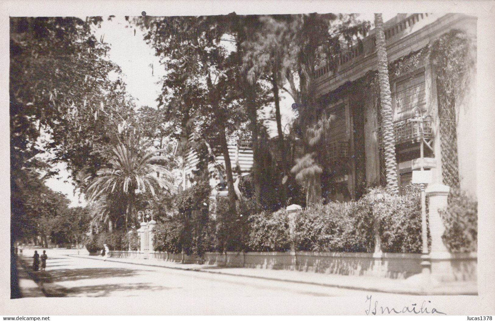 TRES BELLE CARTE PHOTO ISMAILIA / ALLEE ET RESIDENCE - Ismaïlia