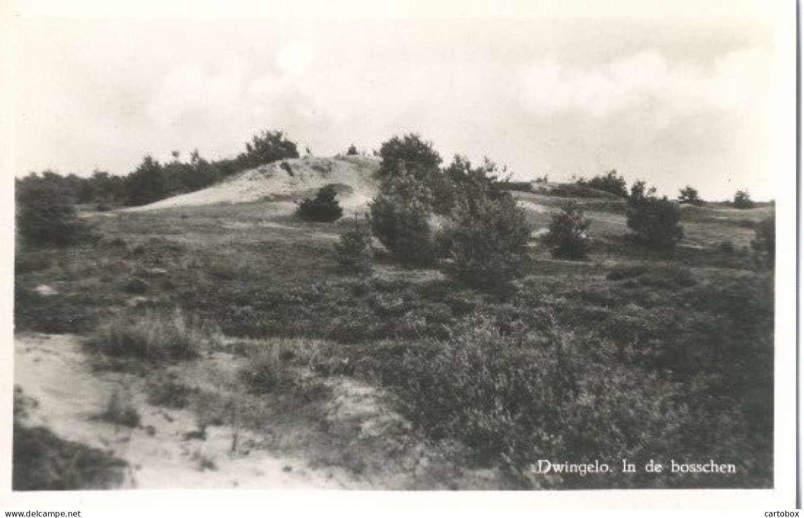 Dwingelo Dr. (Dwingeloo), In De Bosschen - Dwingeloo