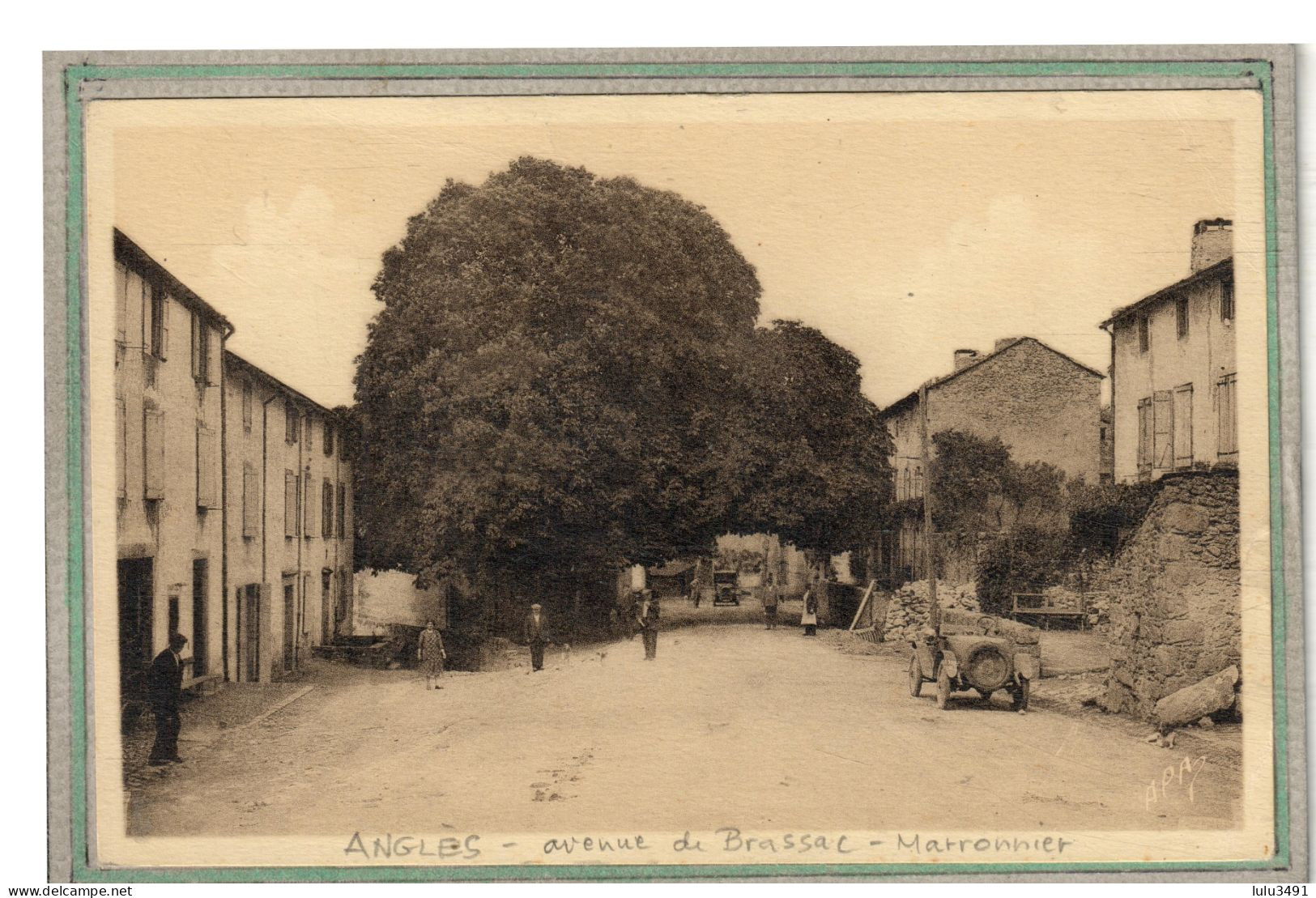 CPA - (81) ANGLES - Thème: ARBRE - Le Marronnier De L'avenue De Brassac - 1930 - Angles