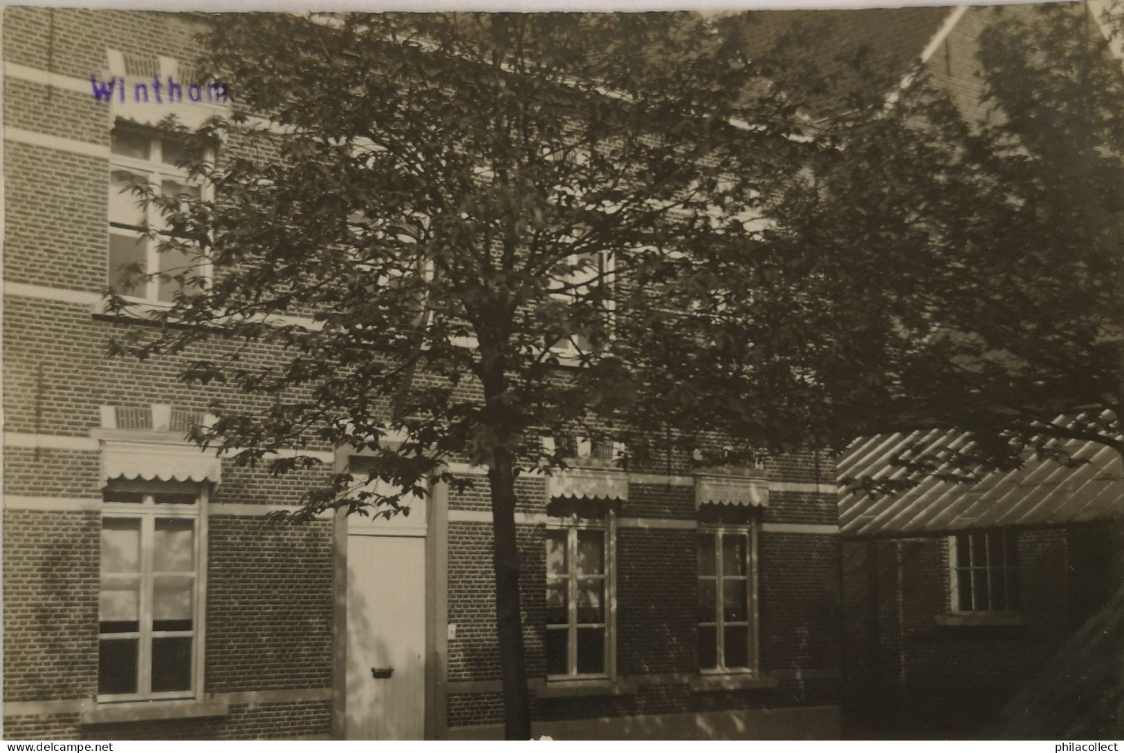 Wintam - Wintham  (Bornem) FOTOKAART - Carte Photo // Lagere Zustersschool 19?? - Bornem