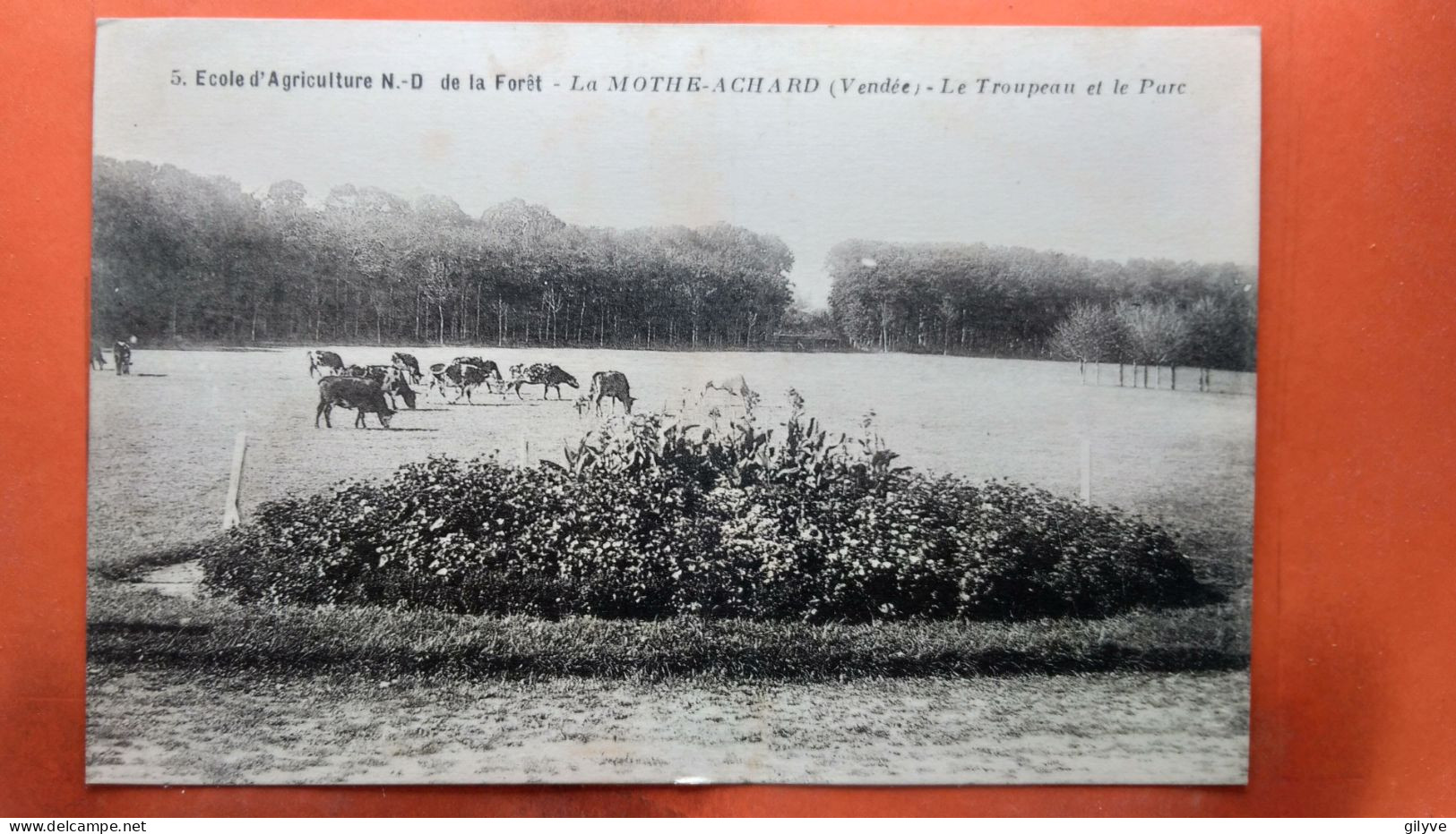 CPA (85)  La Motte Achard. Ecole D'Agriculture.N.D De La Forêt.  Le Troupeau .  (AB.1034) - La Mothe Achard