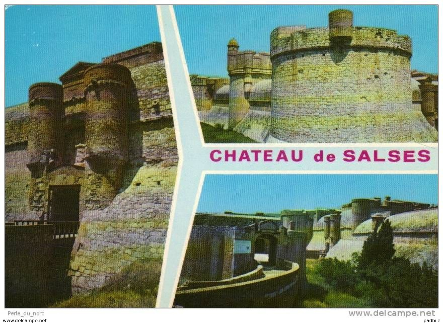 Carte Postale 66 - Salses - Le Chateau Trés Beau Plan - Salses