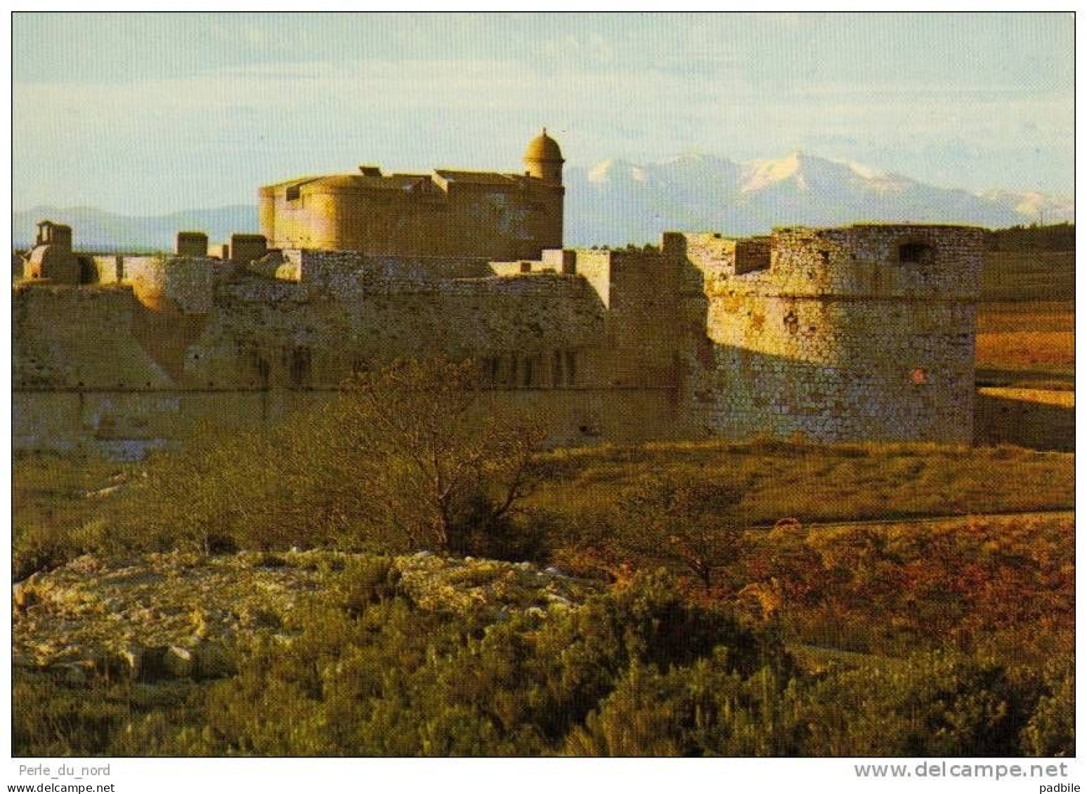 Carte Postale 66 - Salses - Le Chateau Trés Beau Plan - Salses