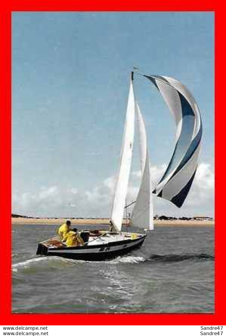 CPSM/gf (44) Bateaux.  Voilier, Bateau De Plaisance "Muscadet". ..*523 - Voiliers