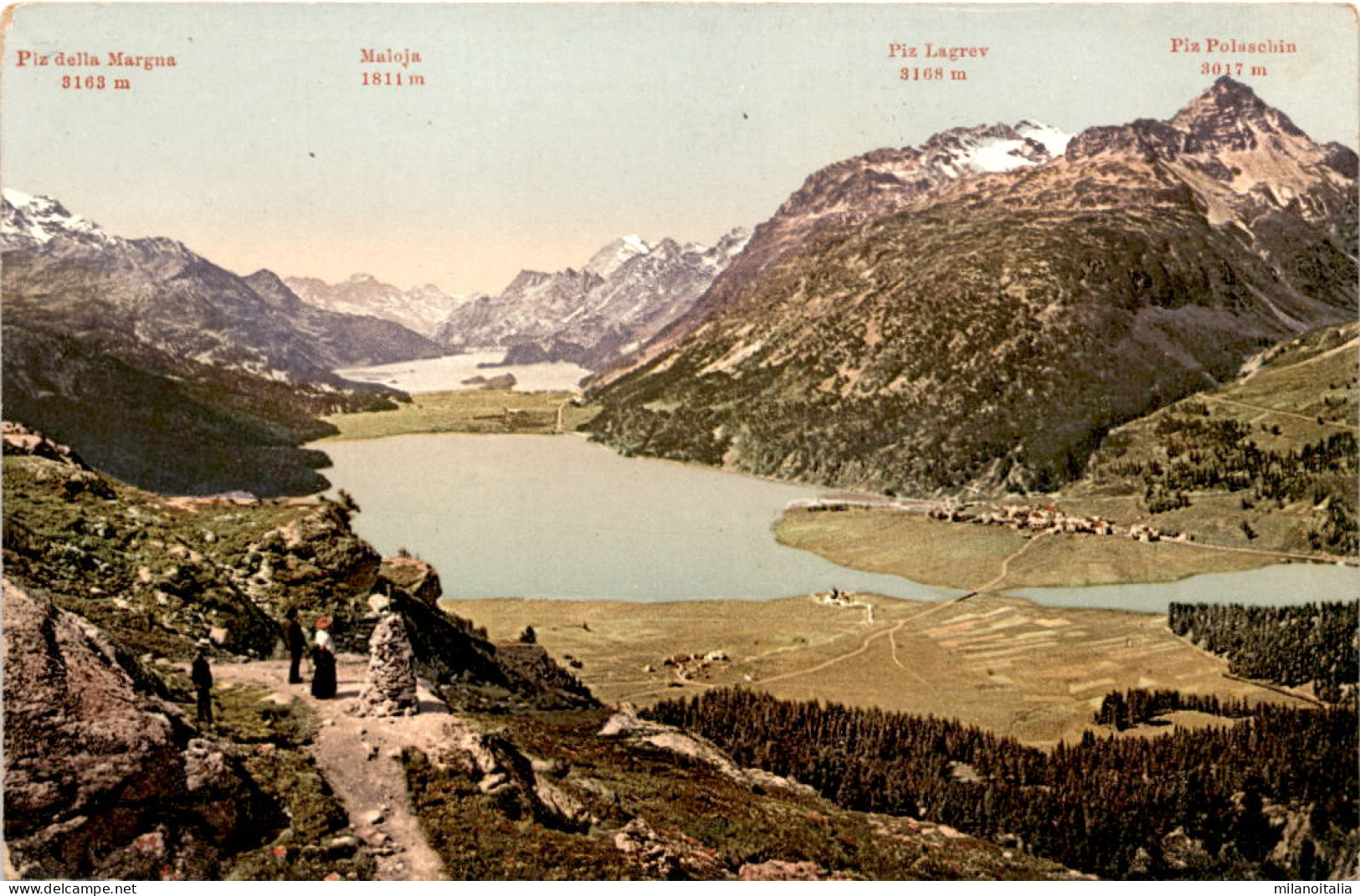 Ober-Engadin - Blick Vom Hahnensee Auf Silvaplana Und Silsersee (2485) - Silvaplana