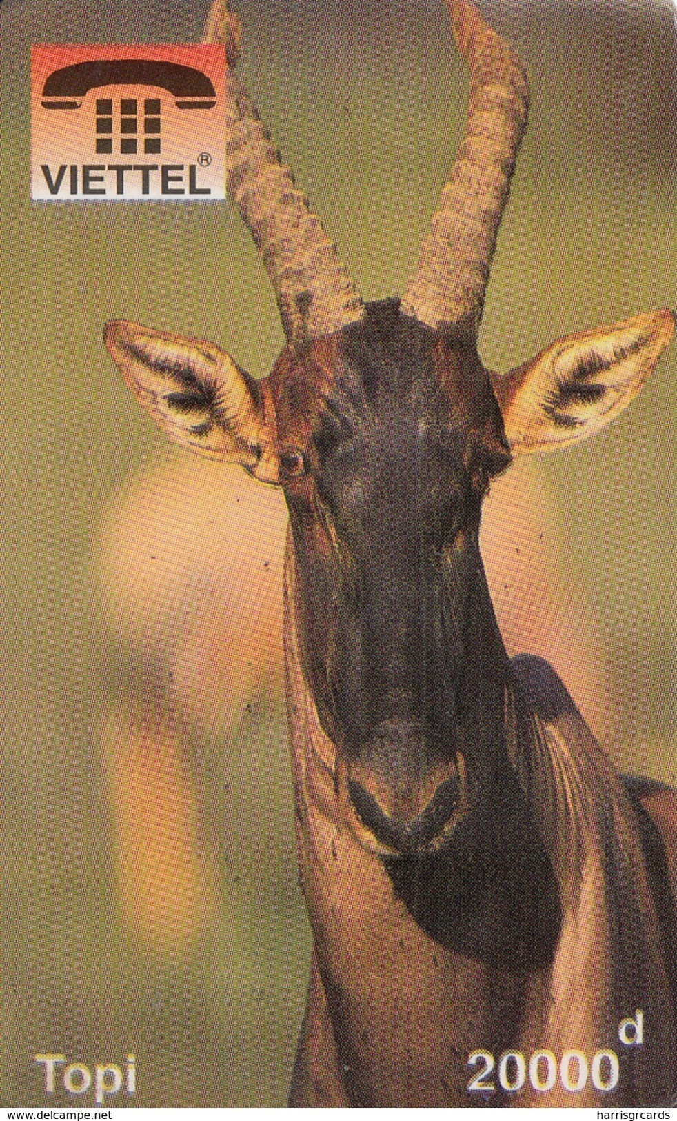 VIETNAM - Topi - Animal, Fake - Vietnam