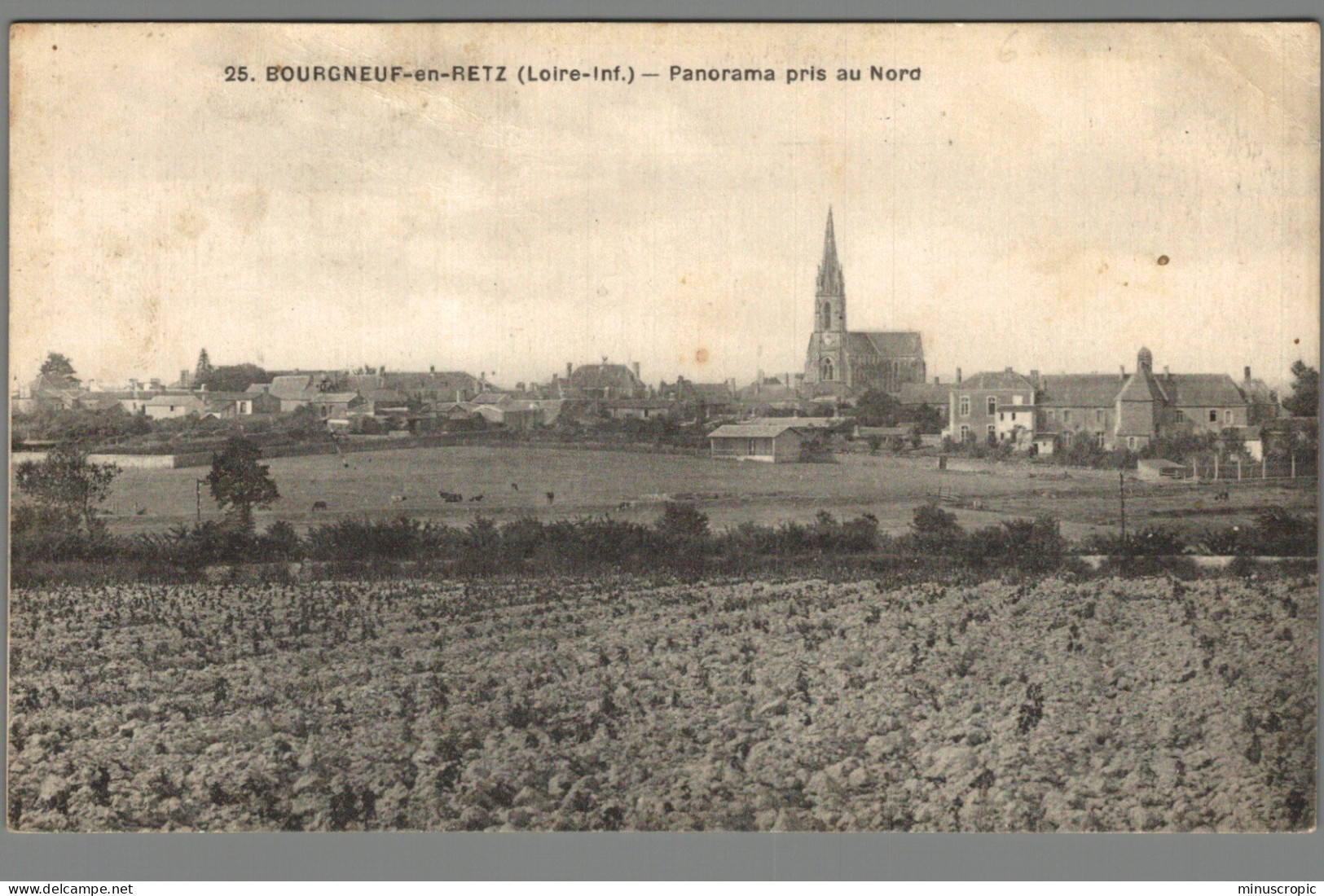 CPA 44 - Bourgneuf En Retz - Panorama Pris Au Nord - Bourgneuf-en-Retz