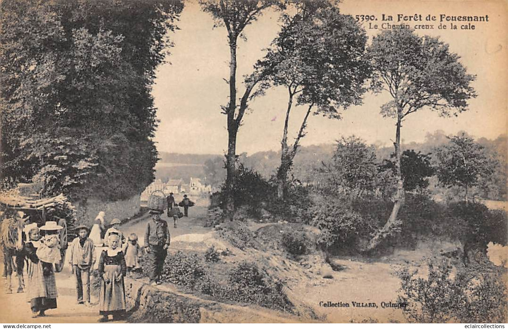 La Forêt De Fouesnant          29     Le Chemin Creux De La Cale           (voir Scan) - Sonstige & Ohne Zuordnung