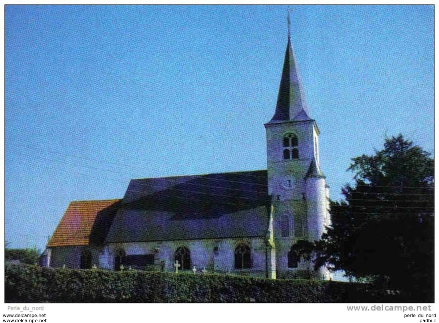 Carte Postale 76. Le Trait L'église St-Nicolas Trés Beau Plan - Le Trait