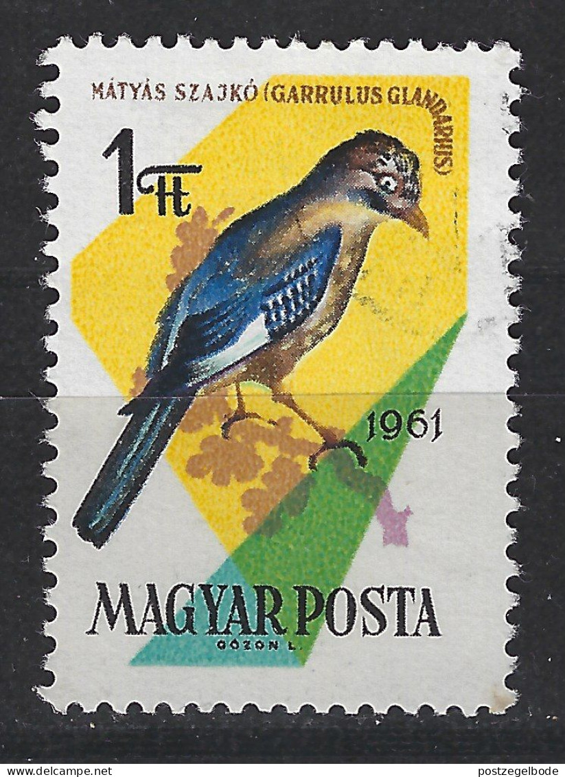 Hongarije, Hungary, Ungarn, Magyar MLH ; Vlaamse Gaai Jay Geai Arrendajo Vogel Bird Ave Oiseau - Cuckoos & Turacos