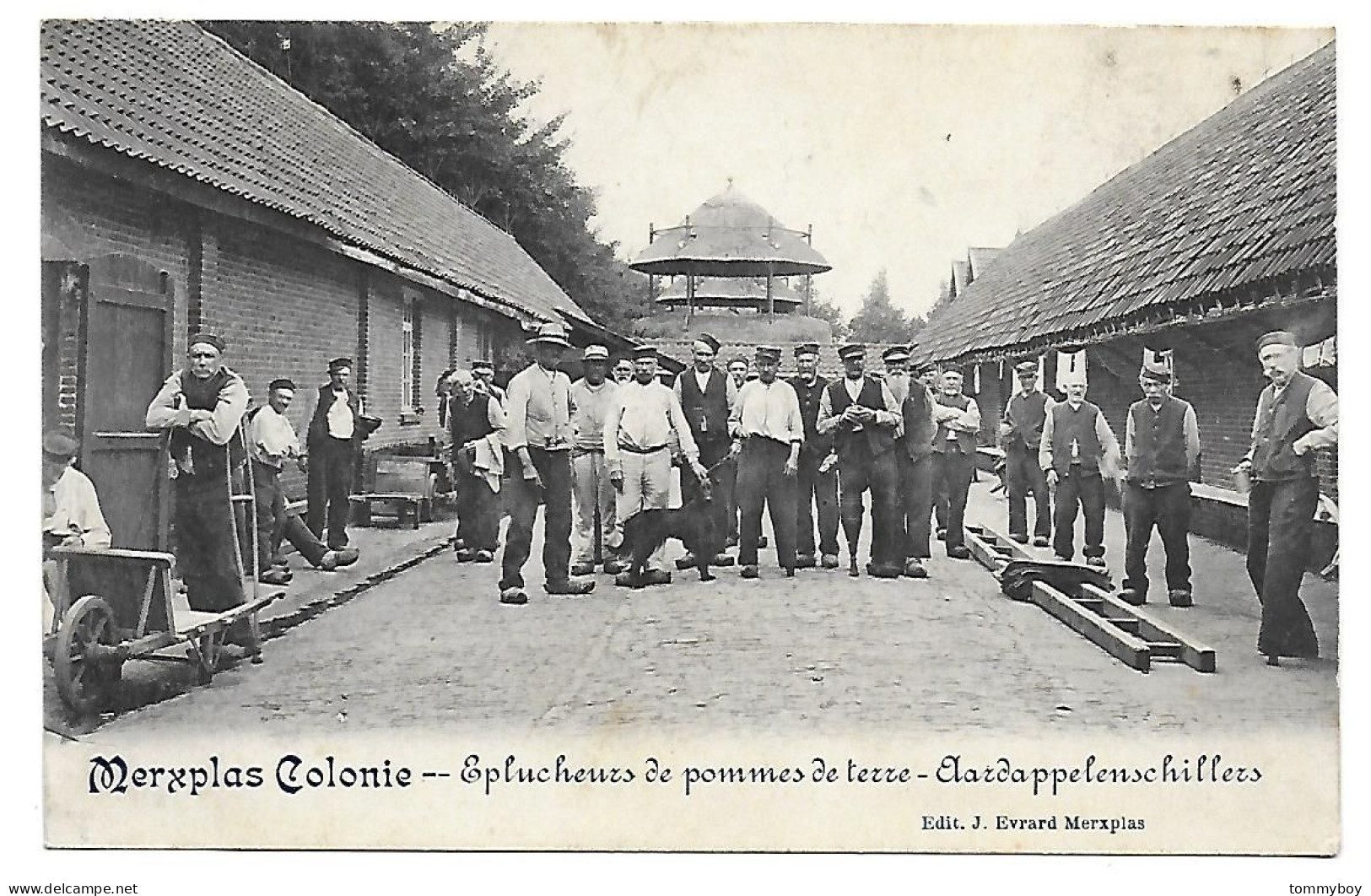 CPA Merxplas Colonie, Eplucheurs De Pommes De Terre - Aardappelenschillers - Merksplas