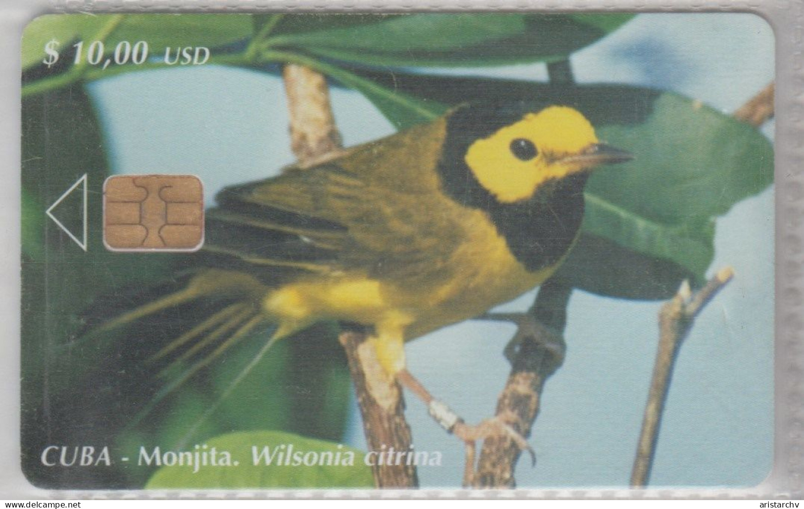 CUBA 2003 BIRD HOODED WARBLER - Songbirds & Tree Dwellers