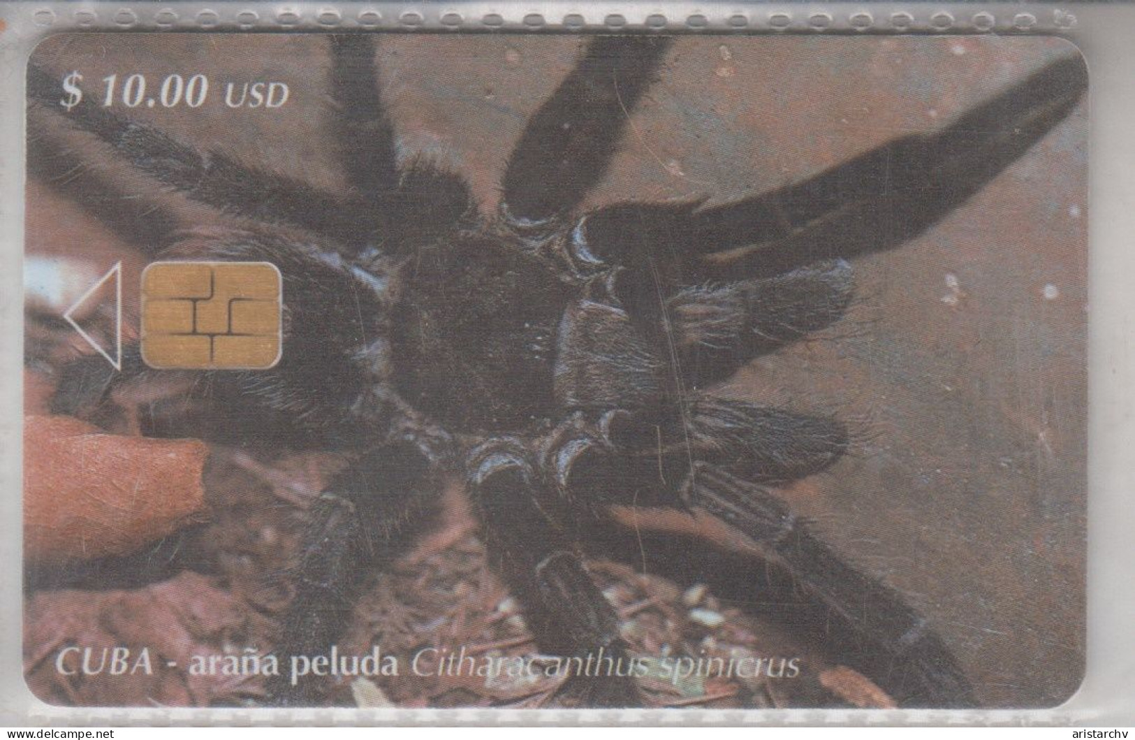 CUBA 2001 SPIDER - Other & Unclassified