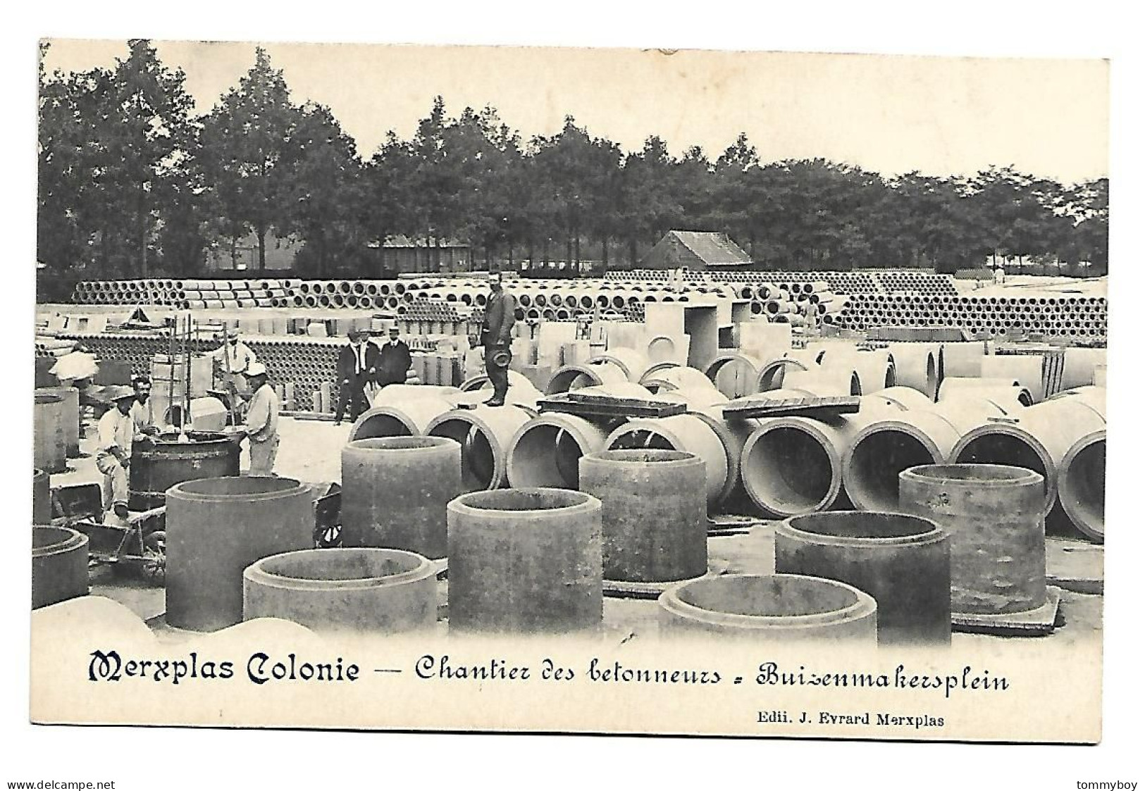 CPA Merxplas Colonie - Chantier Des Betonneurs - Merksplas