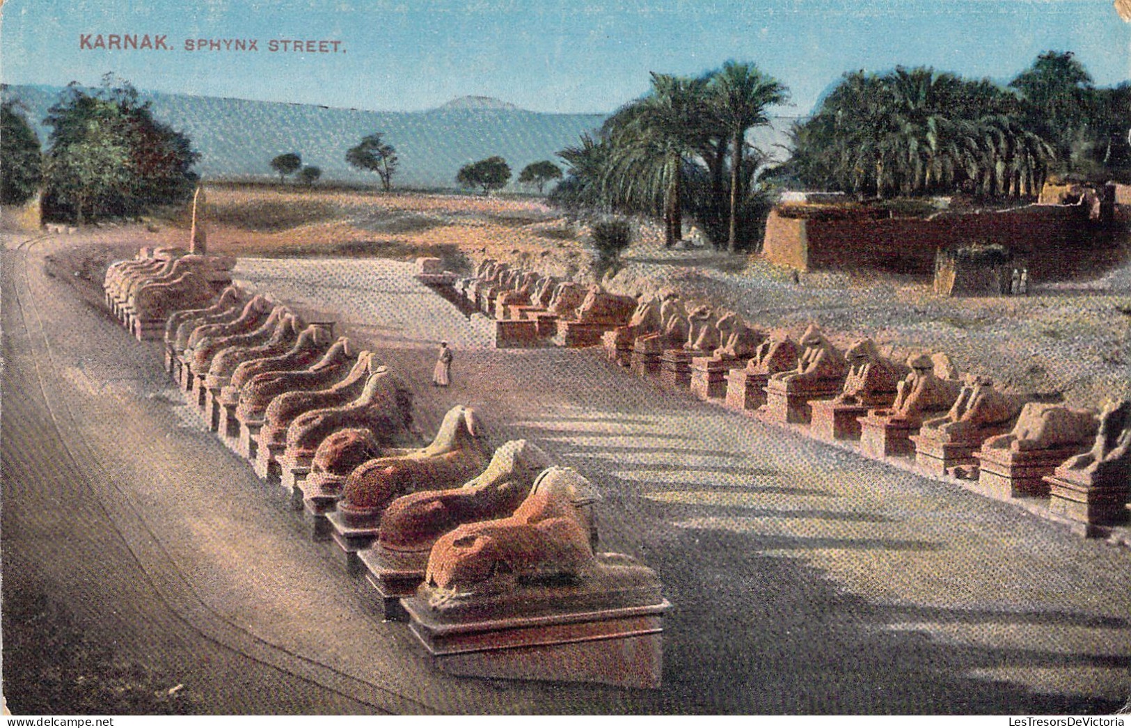 EGYPTE - KARNAK - Sphynx Street - Carte Postale Ancienne - Autres & Non Classés