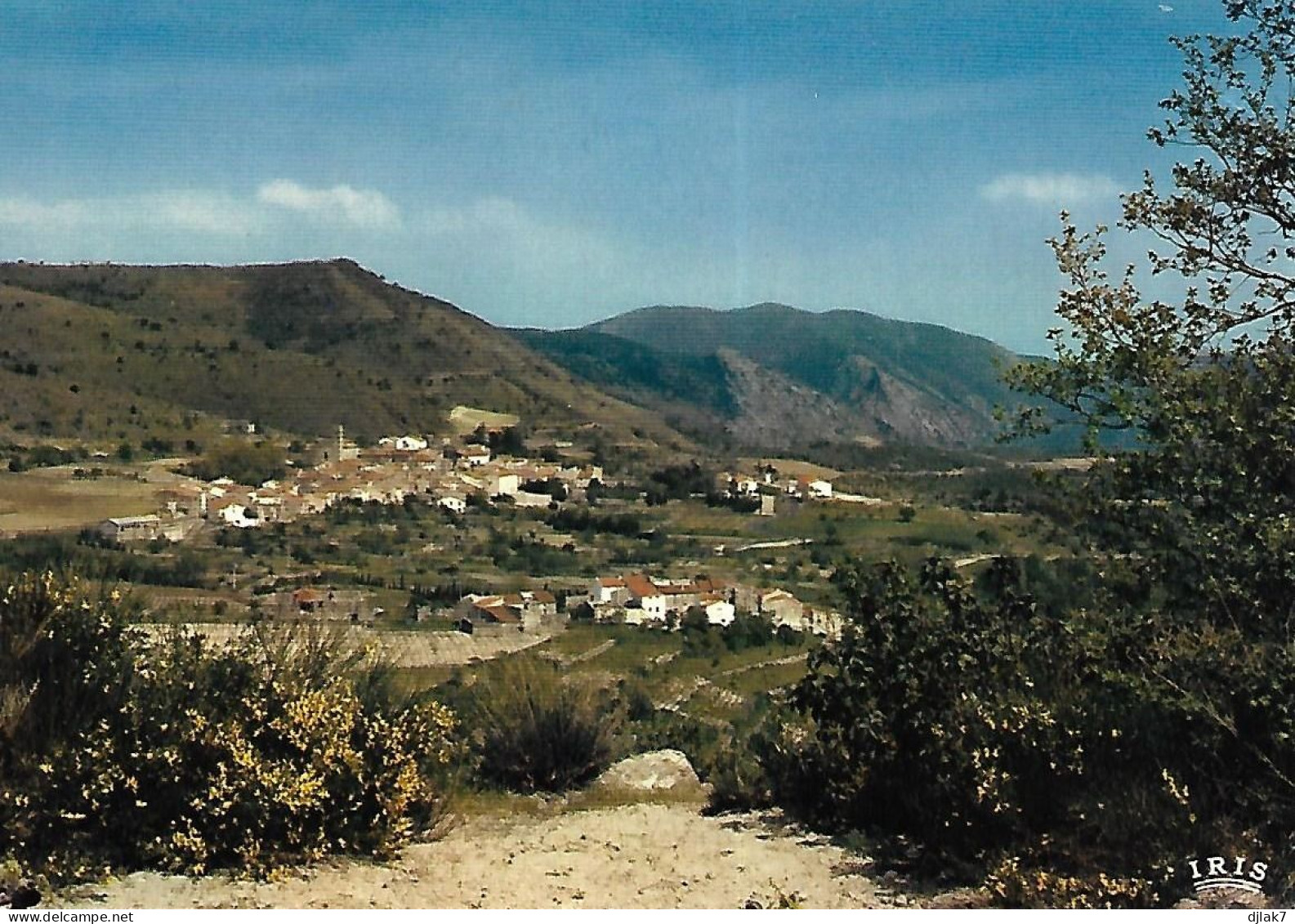 66 Sournia Vue Générale - Sournia