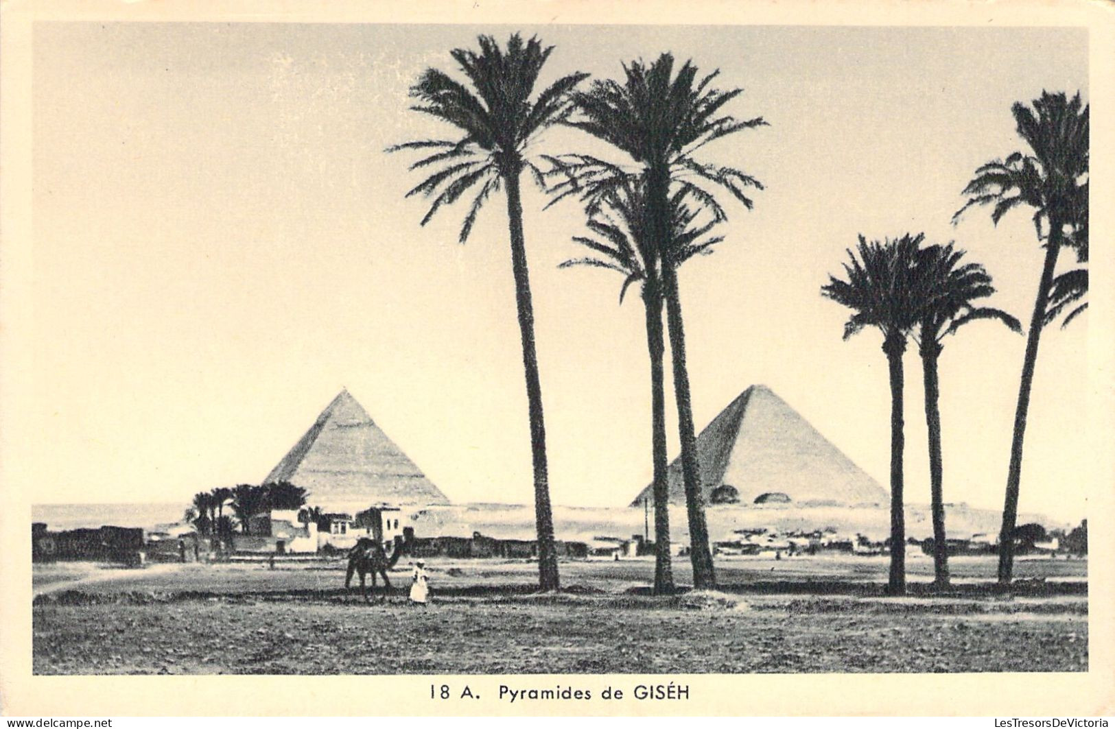 EGYPTE - Pyramides De GISEH - Carte Postale Ancienne - Other & Unclassified