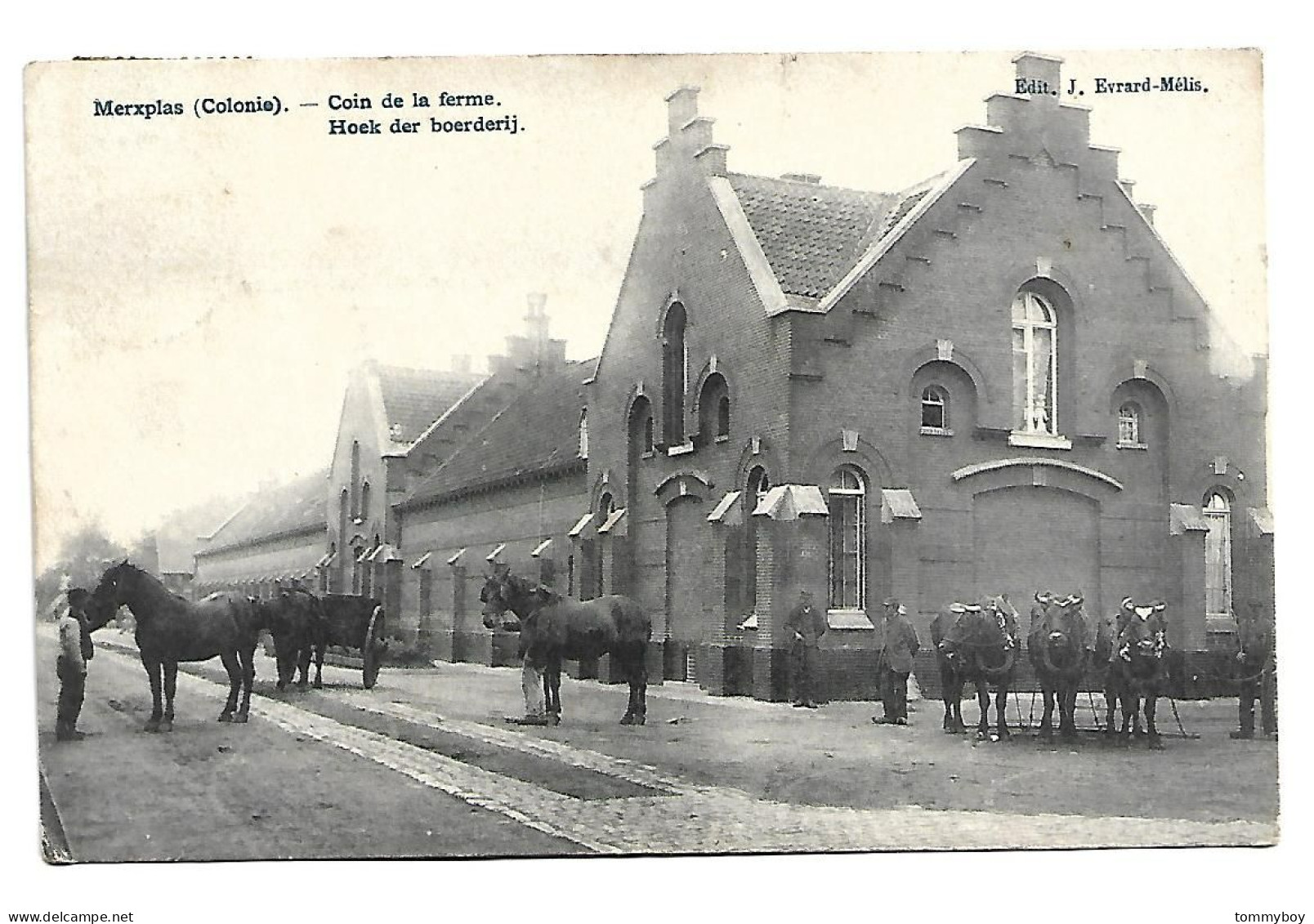 CPA Merxplas Colonie, Coin De La Ferme - Hoek Der Boerderij (schade Links Onder) - Merksplas