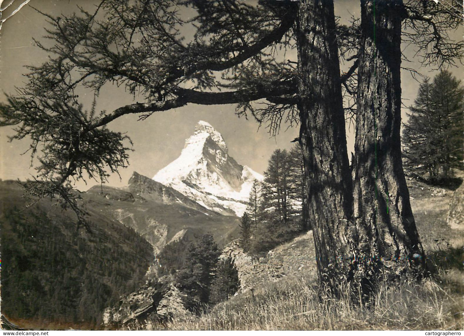 Postcard Switzerland Bei Zermatt Das Matterhorn - Matt