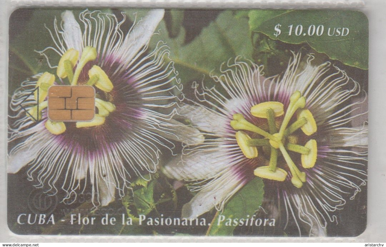 CUBA 2000 PASSION FRUIT PASSIFORA - Flores