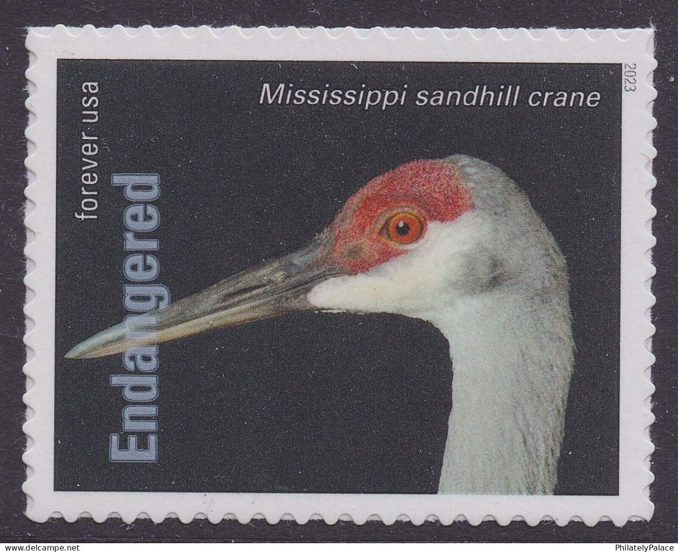 USA New ** 2023 Endangered Species, Reptile,Snake,Fish,Parrot,Frog,Rat,Rabbit,Bird,Panther,Wolf,Quail,20v MNH (**) - Unused Stamps