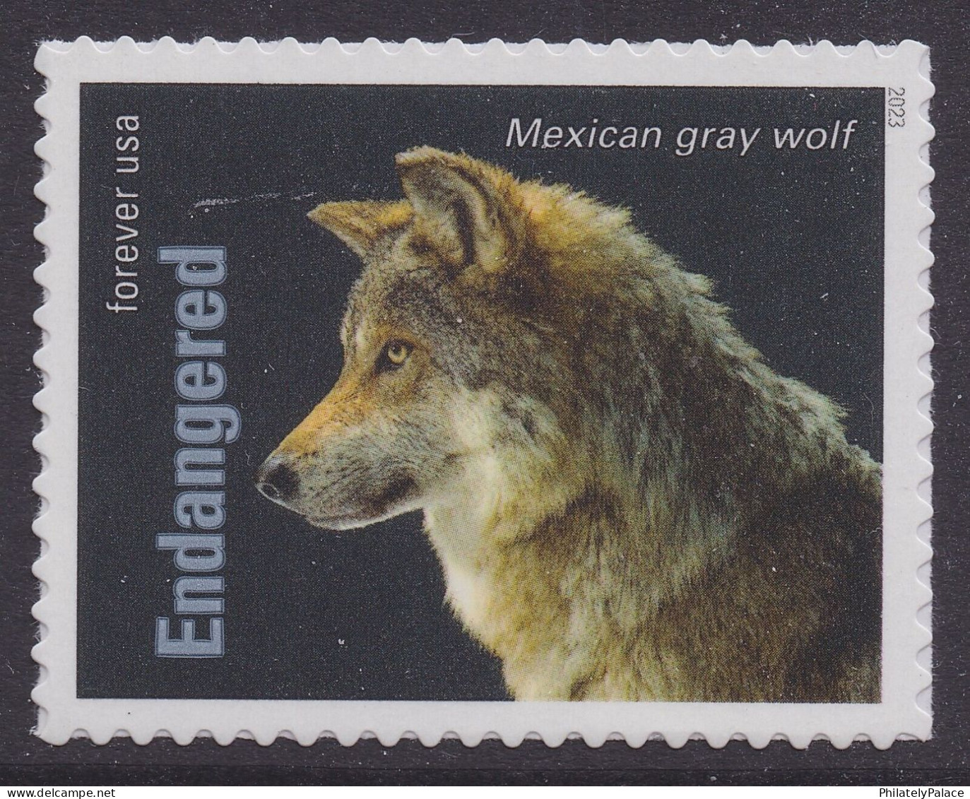 USA New ** 2023 Endangered Species, Reptile,Snake,Fish,Parrot,Frog,Rat,Rabbit,Bird,Panther,Wolf,Quail,20v MNH (**)