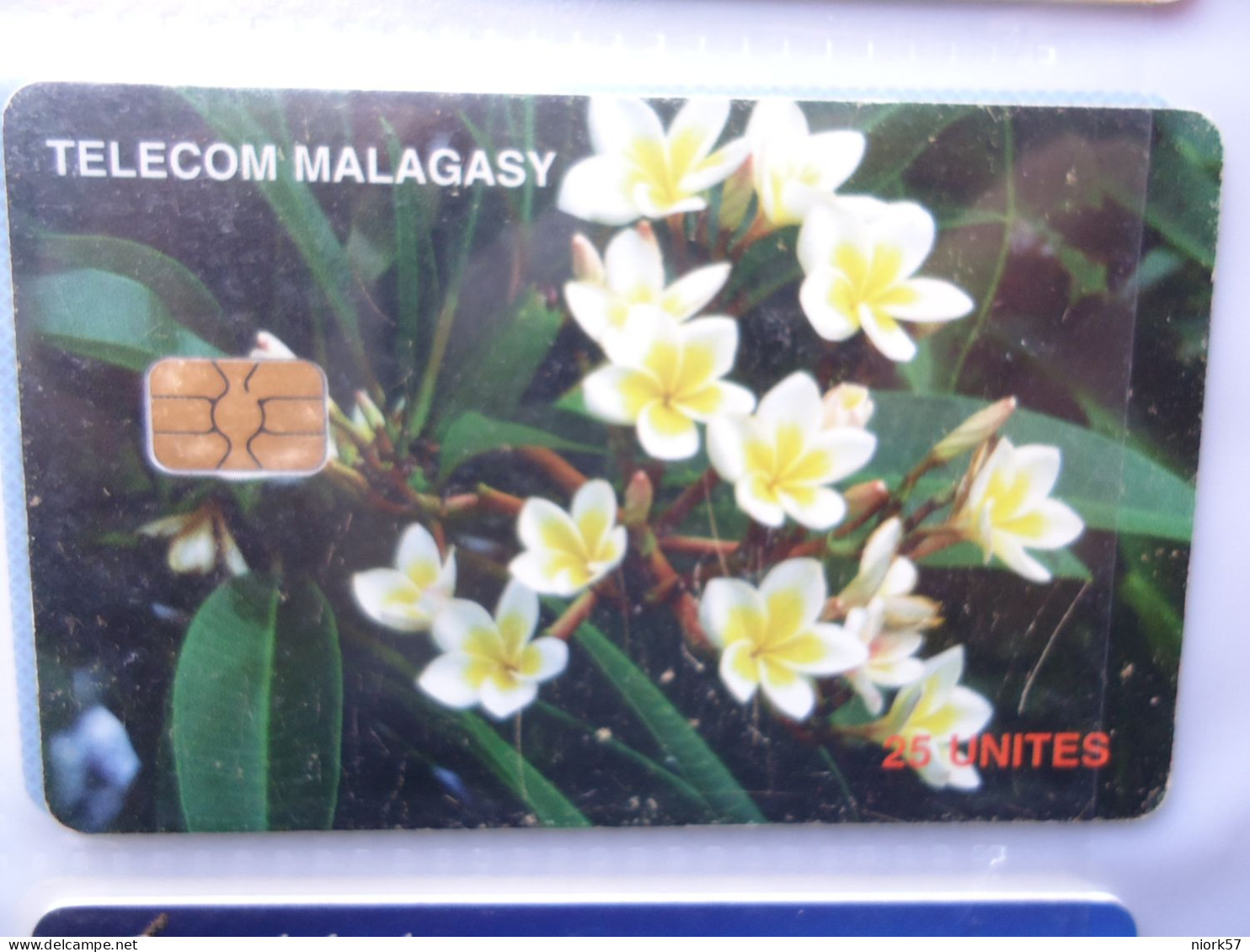 MADAGASCAR MALAGASY    USED CARDS  FLOWERS - Madagascar