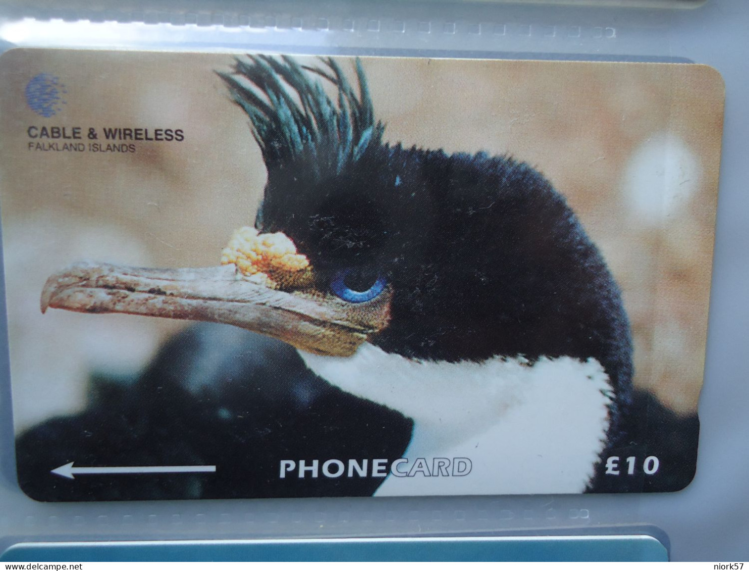 FALKLAND ISLANDS USED CARDS BIRD BIRDS PENGUINS - Pingueinos