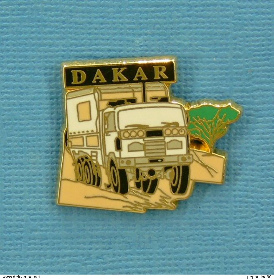 1 PIN'S //  ** CAMION / RALLYE RAID / PARIS - DAKAR ** . (© Starpin's T.S.O  '93) - Rallye