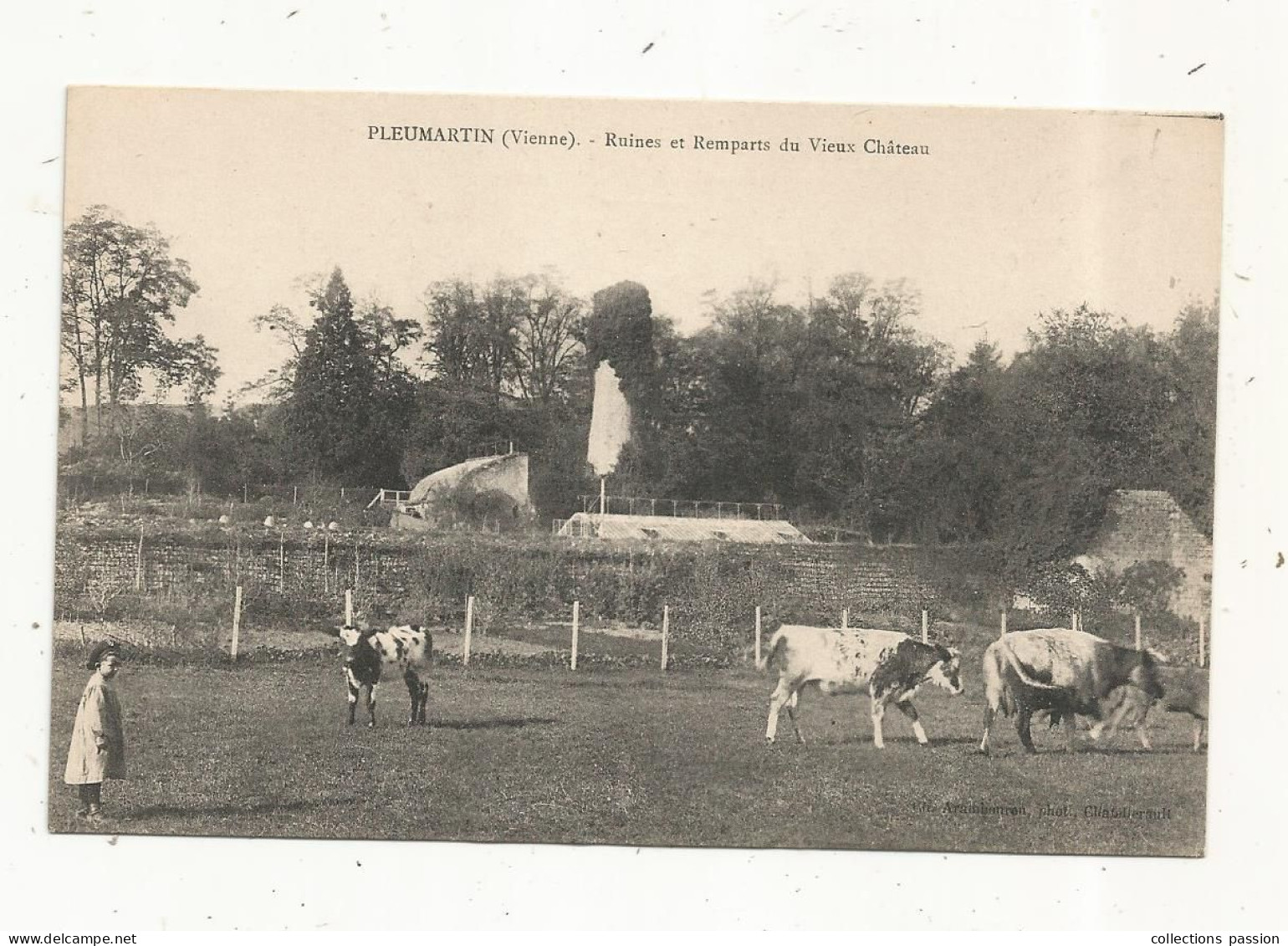 JC, Cp, 86, PLEUMARTIN, Ruines Et Remparts Du Vieux Château , élevage , Vaches, Veaux, Vierge - Pleumartin