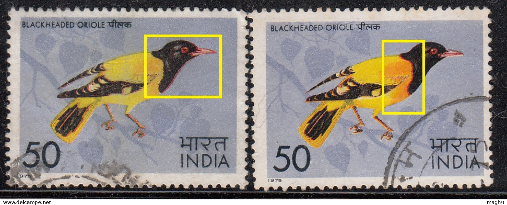 EFO, Print Shift Variety, India Used 1975,  Headed Oriole, Bird, Birds, - Variétés Et Curiosités