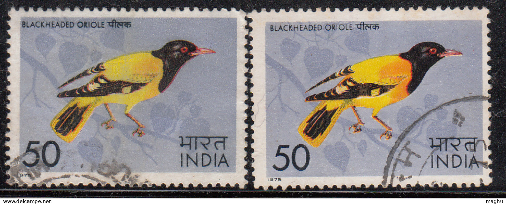 EFO, Print Shift Variety, India Used 1975,  Headed Oriole, Bird, Birds, - Errors, Freaks & Oddities (EFO)